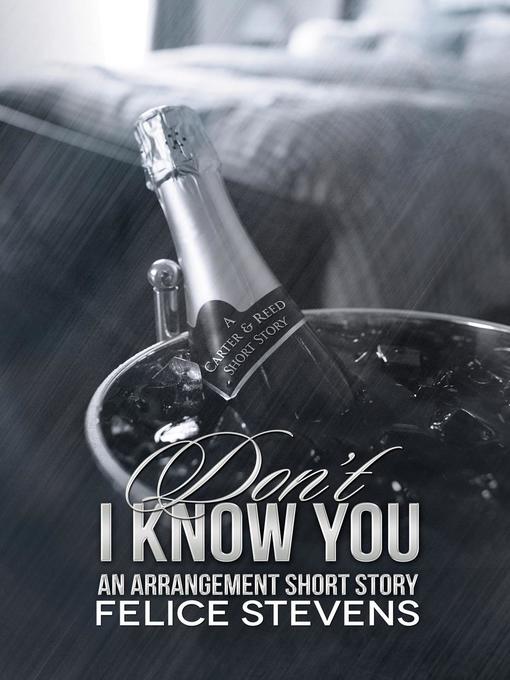 Title details for Don't I Know You by Felice Stevens - Available